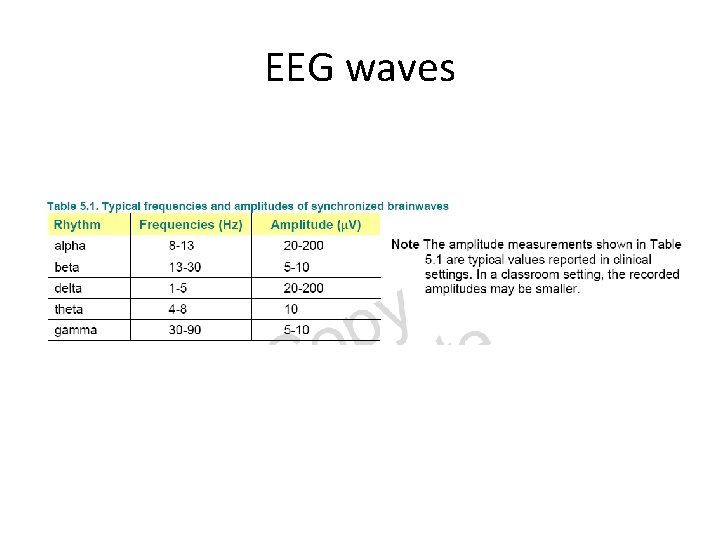 EEG waves 