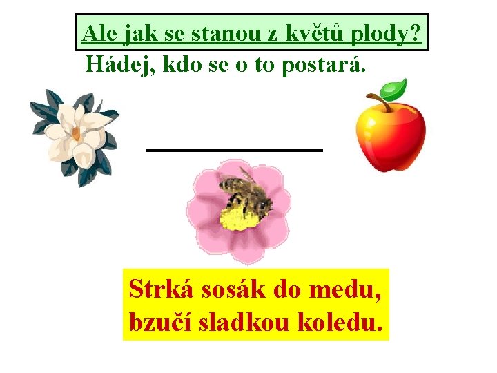 Ale jak se stanou z květů plody? Hádej, kdo se o to postará. Strká