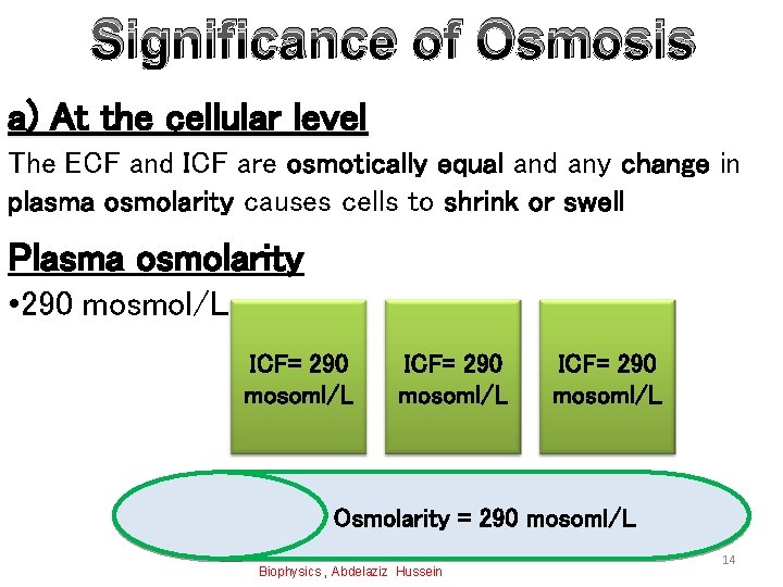 Significance of Osmosis a) At the cellular level The ECF and ICF are osmotically