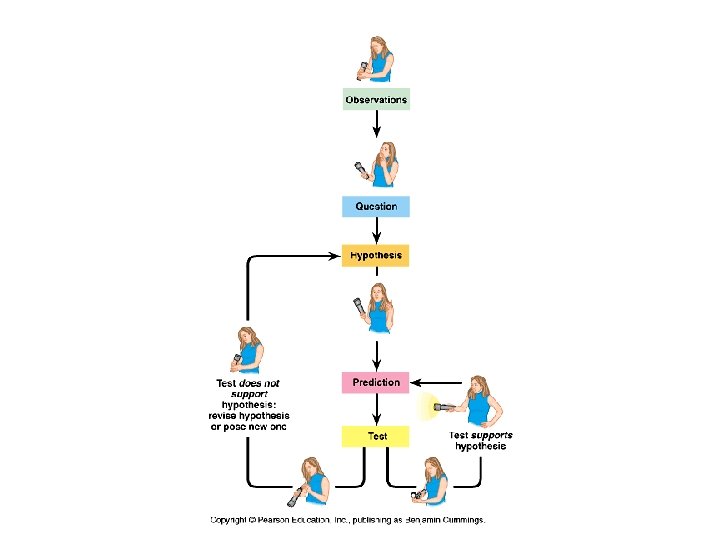 Figure 1. 20 Applying hypothetico-deductive reasoning to a campground problem 