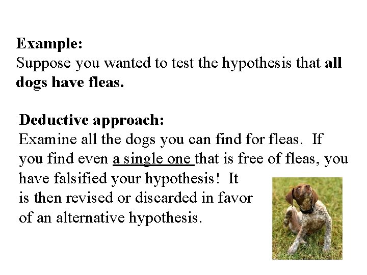 Example: Suppose you wanted to test the hypothesis that all dogs have fleas. Deductive