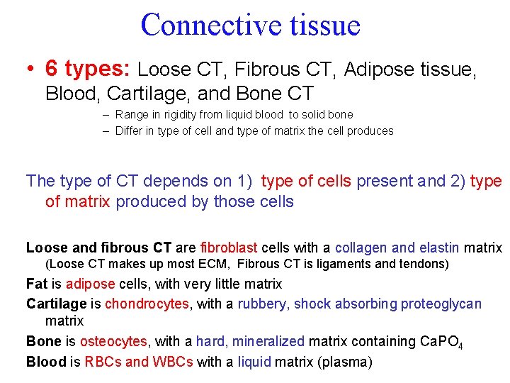 Connective tissue • 6 types: Loose CT, Fibrous CT, Adipose tissue, Blood, Cartilage, and