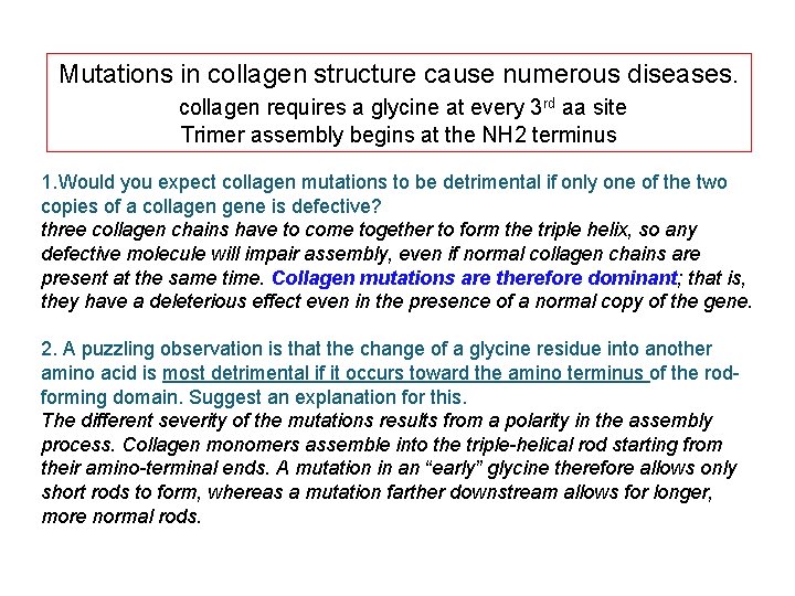 Mutations in collagen structure cause numerous diseases. collagen requires a glycine at every 3