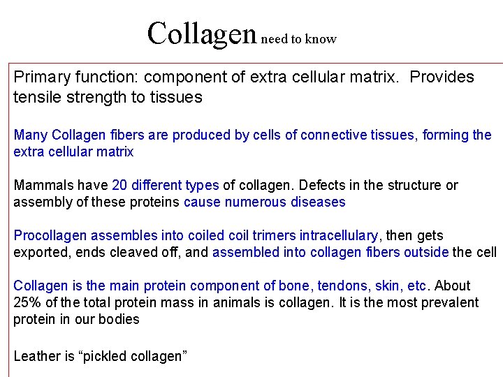 Collagen need to know Primary function: component of extra cellular matrix. Provides tensile strength