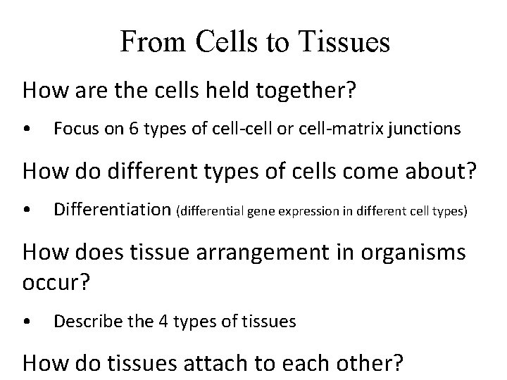 From Cells to Tissues How are the cells held together? • Focus on 6