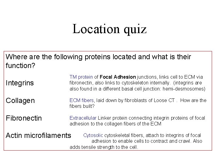 Location quiz Where are the following proteins located and what is their function? Integrins