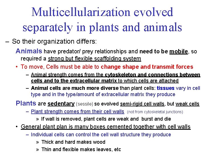 Multicellularization evolved separately in plants and animals – So their organization differs: Animals have