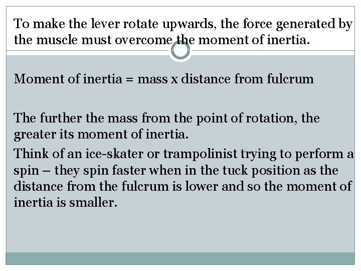 To make the lever rotate upwards, the force generated by the muscle must overcome