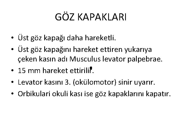 GÖZ KAPAKLARI • Üst göz kapağı daha hareketli. • Üst göz kapağını hareket ettiren