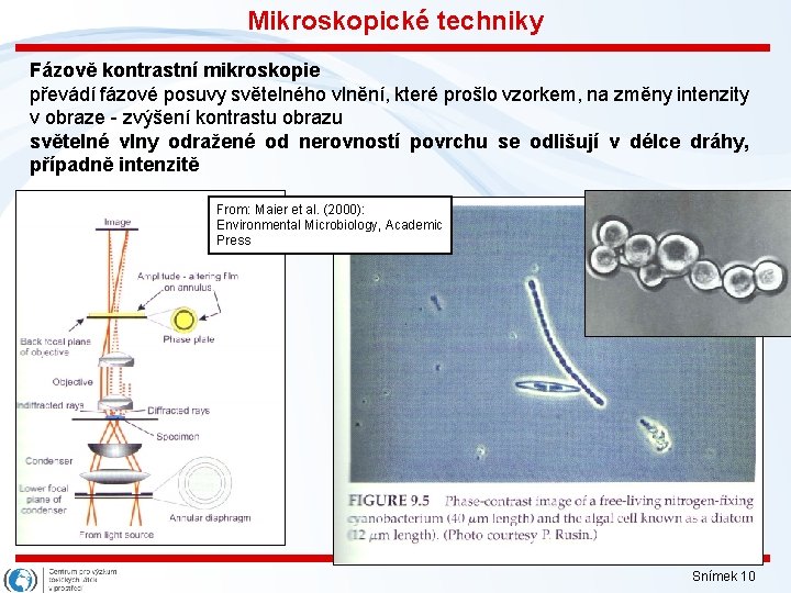 Mikroskopické techniky Fázově kontrastní mikroskopie převádí fázové posuvy světelného vlnění, které prošlo vzorkem, na