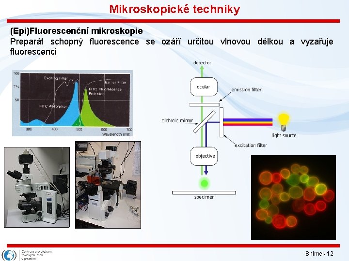 Mikroskopické techniky (Epi)Fluorescenční mikroskopie Preparát schopný fluorescence se ozáří určitou vlnovou délkou a vyzařuje