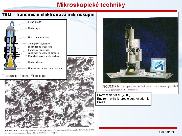 Mikroskopické techniky TEM – transmisní elektronová mikroskopie From: Maier et al. (2000): Environmental Microbiology,