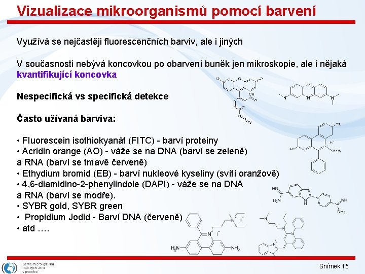 Vizualizace mikroorganismů pomocí barvení Využívá se nejčastěji fluorescenčních barviv, ale i jiných V současnosti