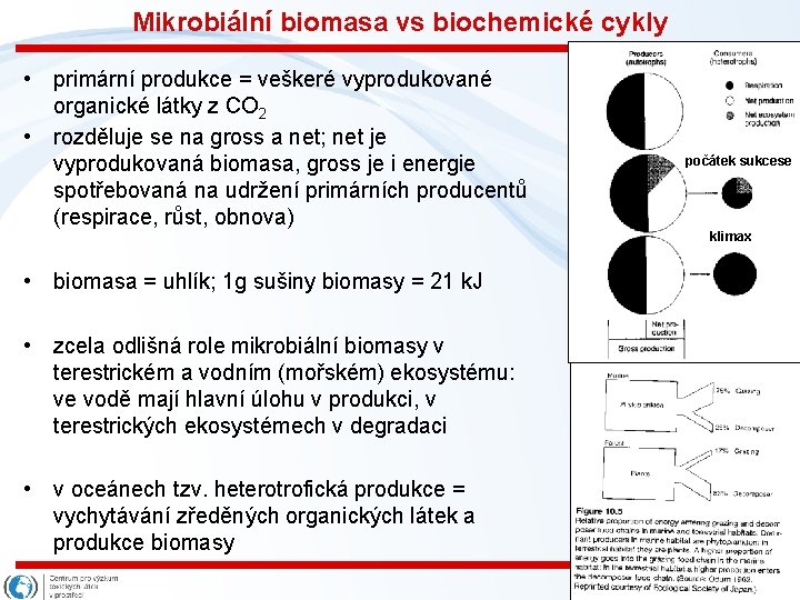 Mikrobiální biomasa vs biochemické cykly • primární produkce = veškeré vyprodukované organické látky z