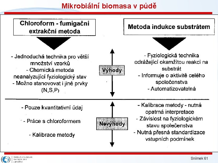 Mikrobiální biomasa v půdě Snímek 61 