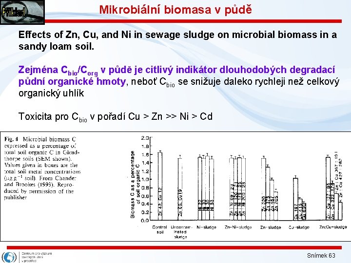 Mikrobiální biomasa v půdě Effects of Zn, Cu, and Ni in sewage sludge on