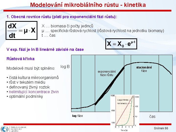 Modelování mikrobiálního růstu - kinetika 1. Obecná rovnice růstu (platí pro exponenciální fázi růstu):