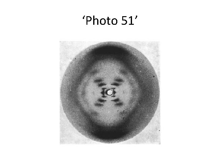 ‘Photo 51’ ‘Photo 51’