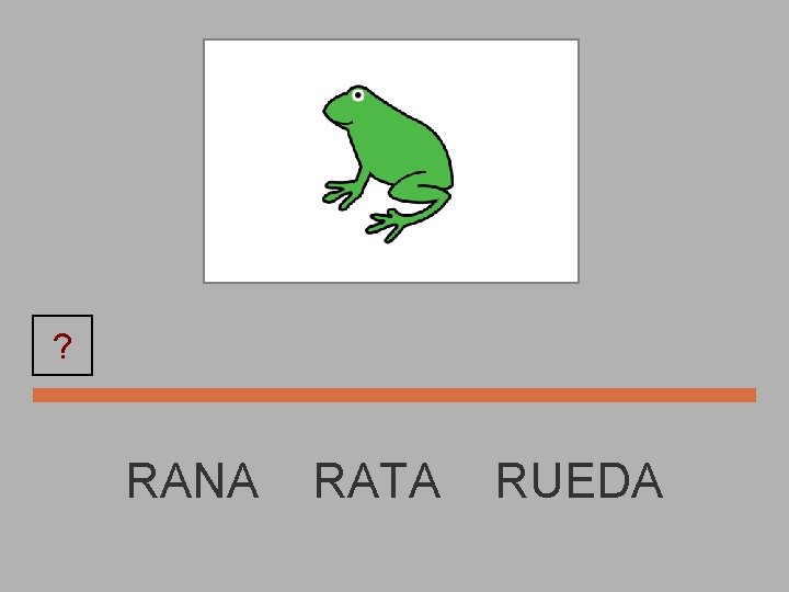 RANA ? RANA RATA RUEDA 