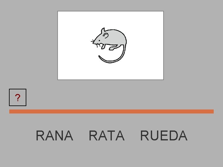 RATA ? RANA RATA RUEDA 