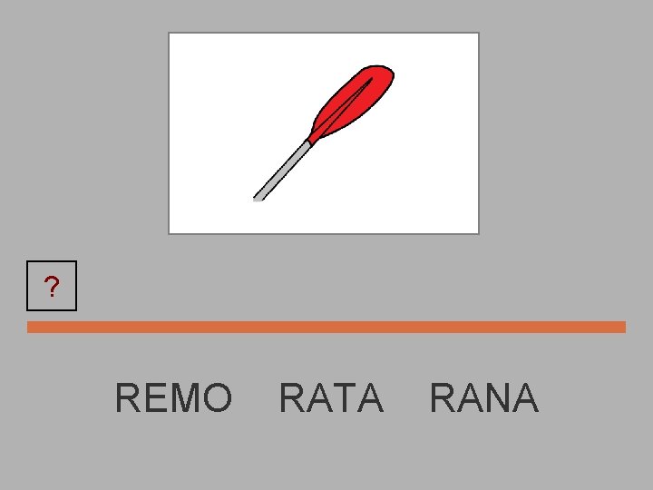 REMO ? REMO RATA RANA 