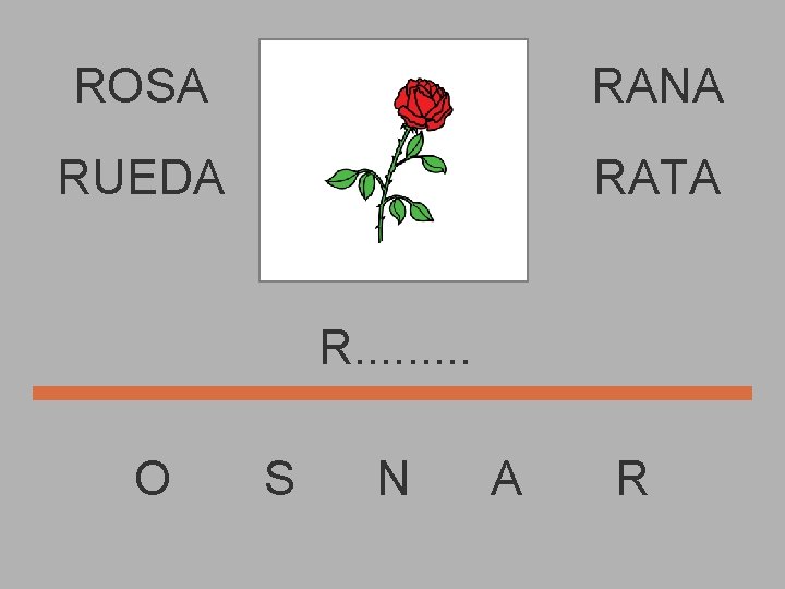 ROSA RANA RUEDA RATA R. . O S N A R 