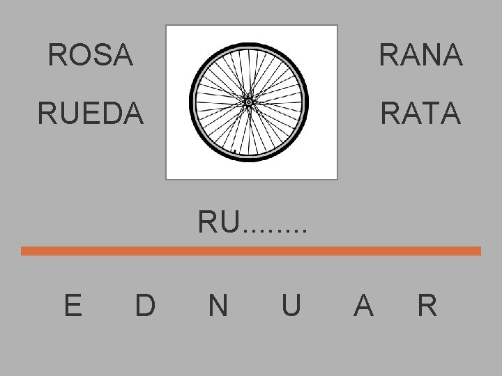 ROSA RANA RUEDA RATA RU. . . . E D N U A R