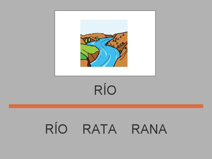 RÍO RATA RANA 