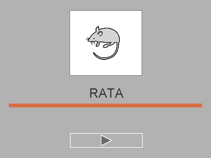 RATA 