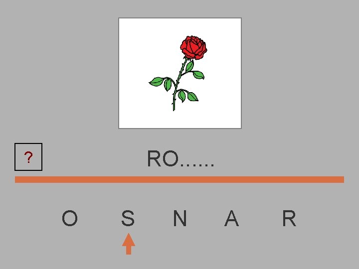 RO. . . ? O S N A R 