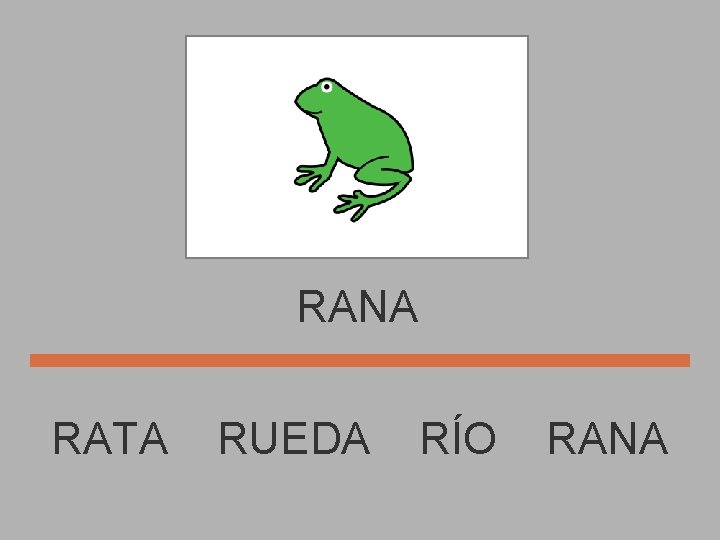 RANA RATA RUEDA RÍO RANA 