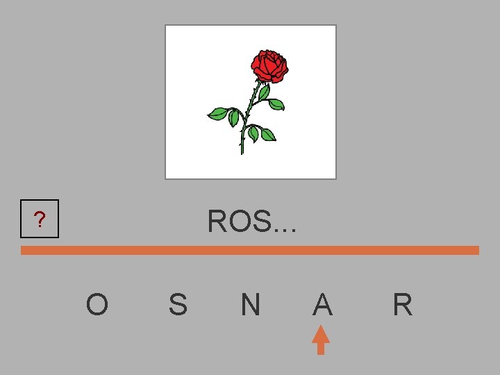 ROS. . . ? O S N A R 