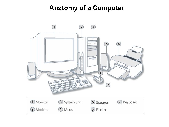 Anatomy of a Computer 