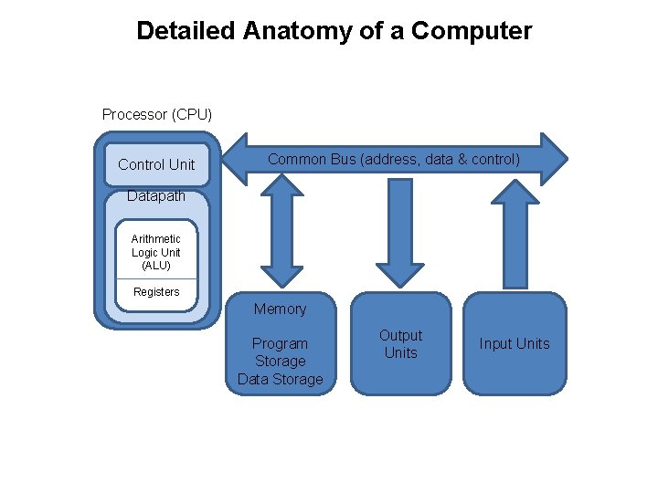 Detailed Anatomy of a Computer Processor (CPU) Control Unit Common Bus (address, data &
