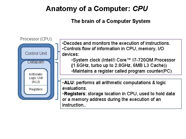 Anatomy of a Computer: CPU The brain of a Computer System Processor (CPU) Control