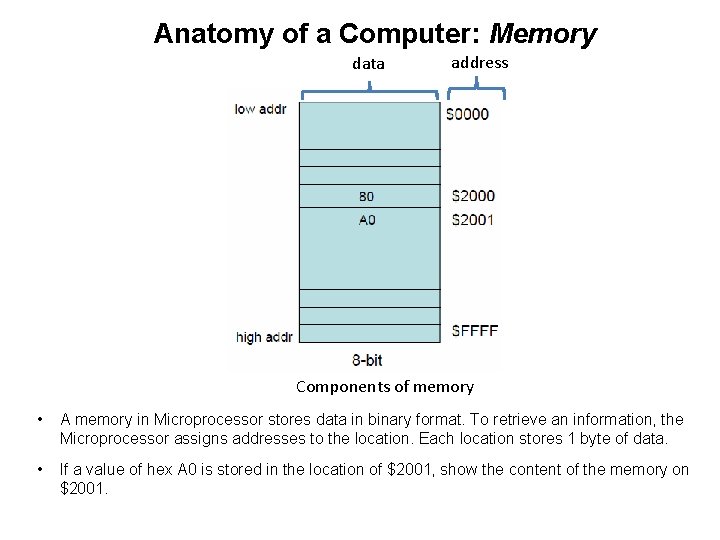 Anatomy of a Computer: Memory data address Components of memory • A memory in