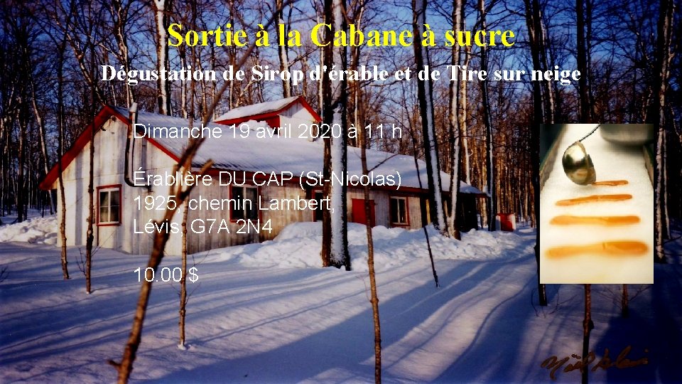 Sortie à la Cabane à sucre Dégustation de Sirop d'érable et de Tire sur