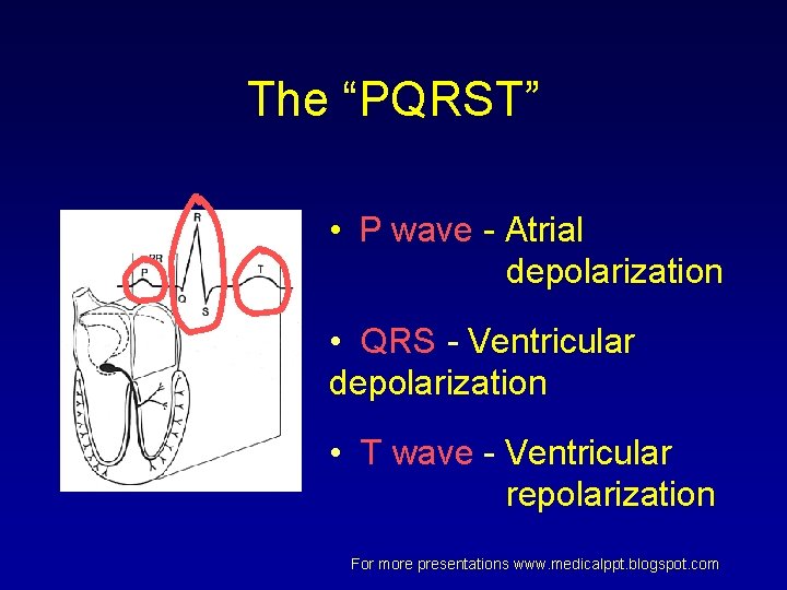 The “PQRST” • P wave - Atrial depolarization • QRS - Ventricular depolarization • The “PQRST” • P wave - Atrial depolarization • QRS - Ventricular depolarization •