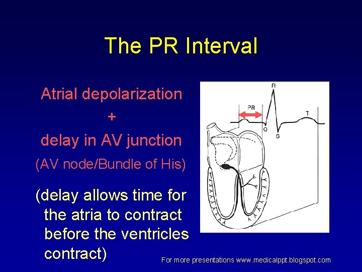 The PR Interval Atrial depolarization + delay in AV junction (AV node/Bundle of His) The PR Interval Atrial depolarization + delay in AV junction (AV node/Bundle of His)