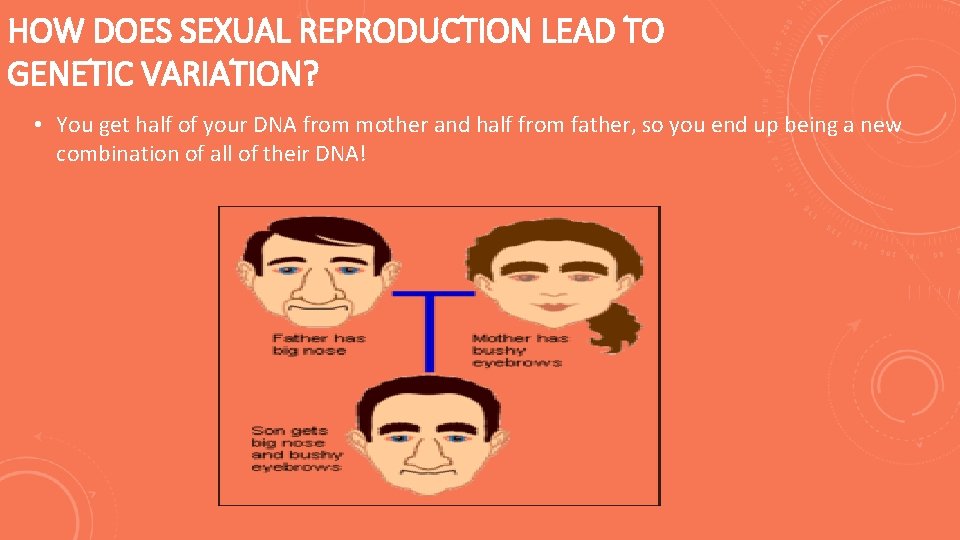 HEREDITY HOW YOU BECAME YOU ESSENTIAL QUESTIONS Why
