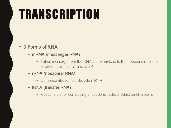 TRANSCRIPTION • 3 Forms of RNA: – m. RNA (messenger RNA) • Takes message TRANSCRIPTION • 3 Forms of RNA: – m. RNA (messenger RNA) • Takes message