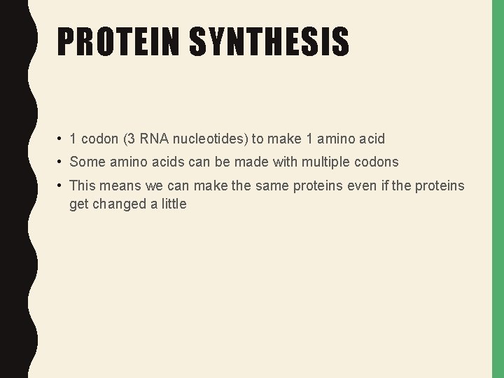 PROTEIN SYNTHESIS • 1 codon (3 RNA nucleotides) to make 1 amino acid • PROTEIN SYNTHESIS • 1 codon (3 RNA nucleotides) to make 1 amino acid •