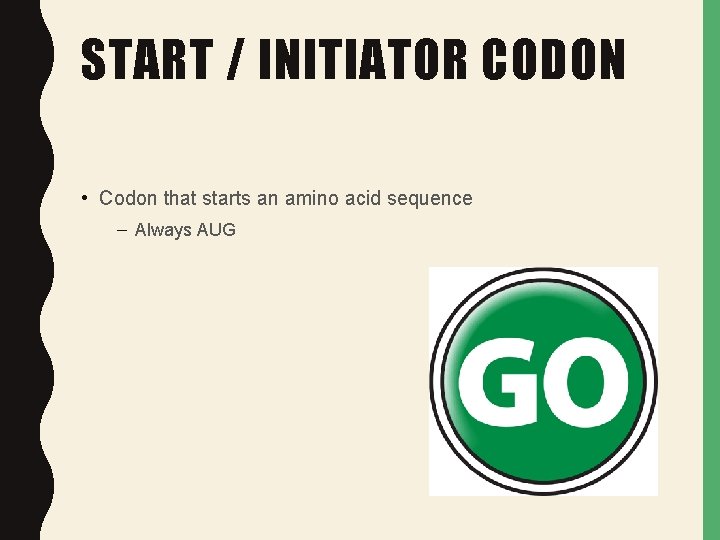 START / INITIATOR CODON • Codon that starts an amino acid sequence – Always START / INITIATOR CODON • Codon that starts an amino acid sequence – Always