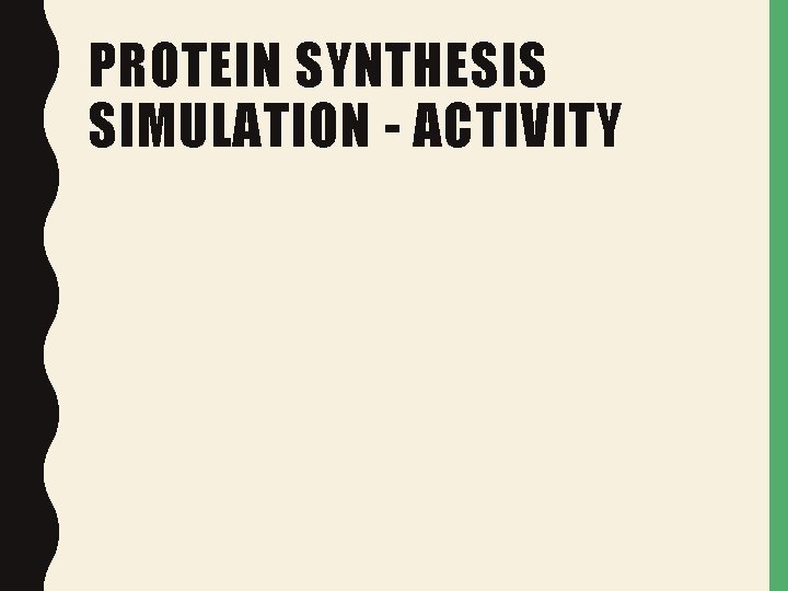 PROTEIN SYNTHESIS SIMULATION - ACTIVITY PROTEIN SYNTHESIS SIMULATION - ACTIVITY