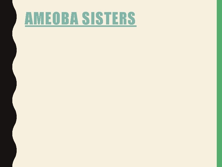 AMEOBA SISTERS AMEOBA SISTERS
