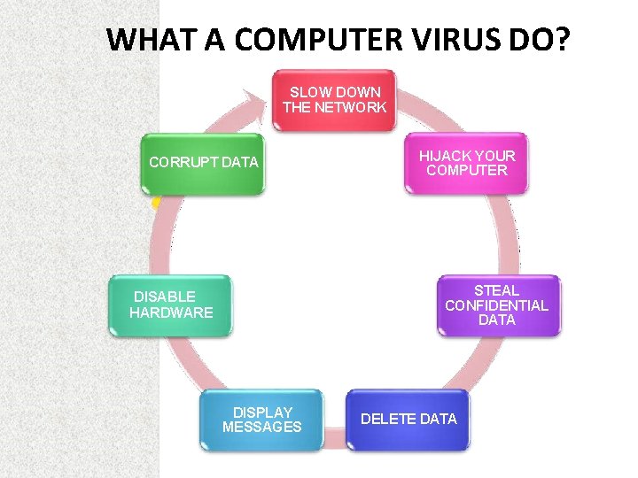 WHAT A COMPUTER VIRUS DO? SLOW DOWN THE NETWORK CORRUPT DATA HIJACK YOUR COMPUTER
