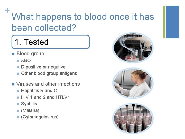 + What happens to blood once it has been collected? 1. Tested n Blood