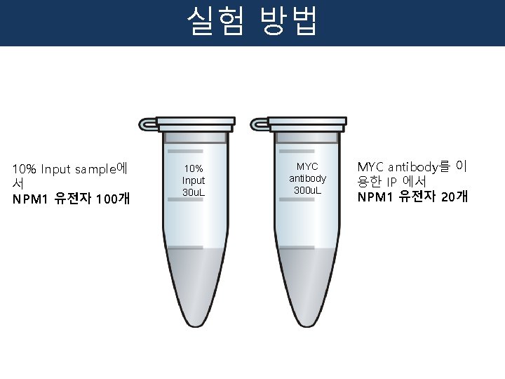 실험 방법 10% Input sample에 서 NPM 1 유전자 100개 10% Input 30 u.