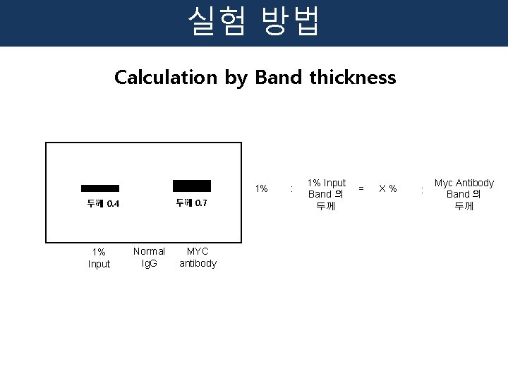 실험 방법 Calculation by Band thickness 1% 두께 0. 7 두께 0. 4 1%