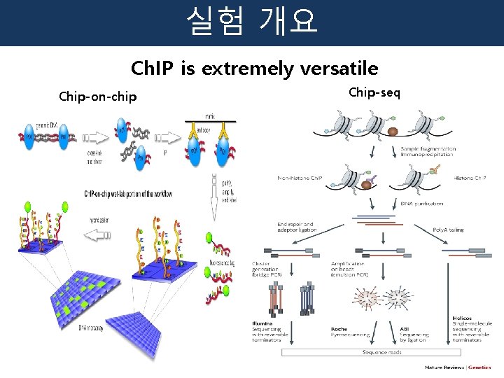 실험 개요 Ch. IP is extremely versatile Chip-on-chip Chip-seq 
